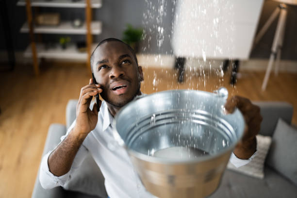 Best Professional water damage repair  in Florissant, MO