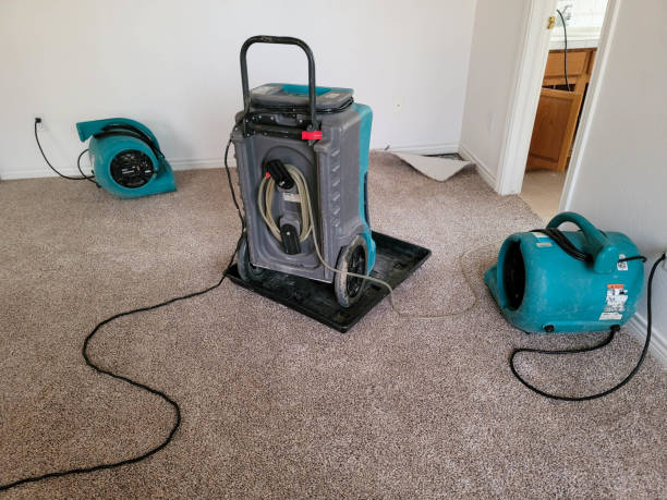 Best Carpet water damage restoration  in Florissant, MO