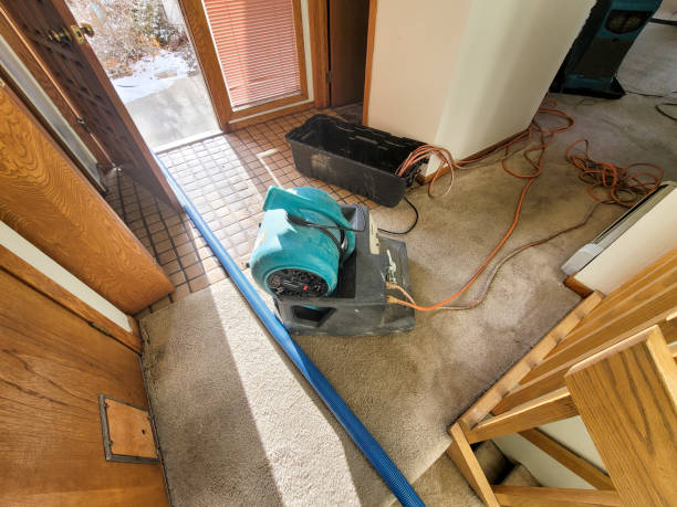 Best Emergency water damage restoration  in Florissant, MO