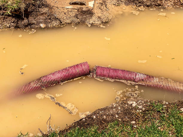 Best Residential water damage restoration  in Florissant, MO