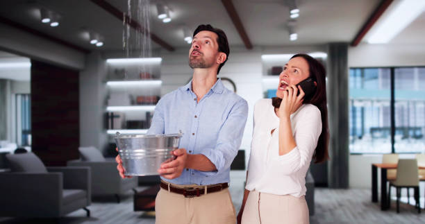 Best 24-hour water damage restoration  in Florissant, MO